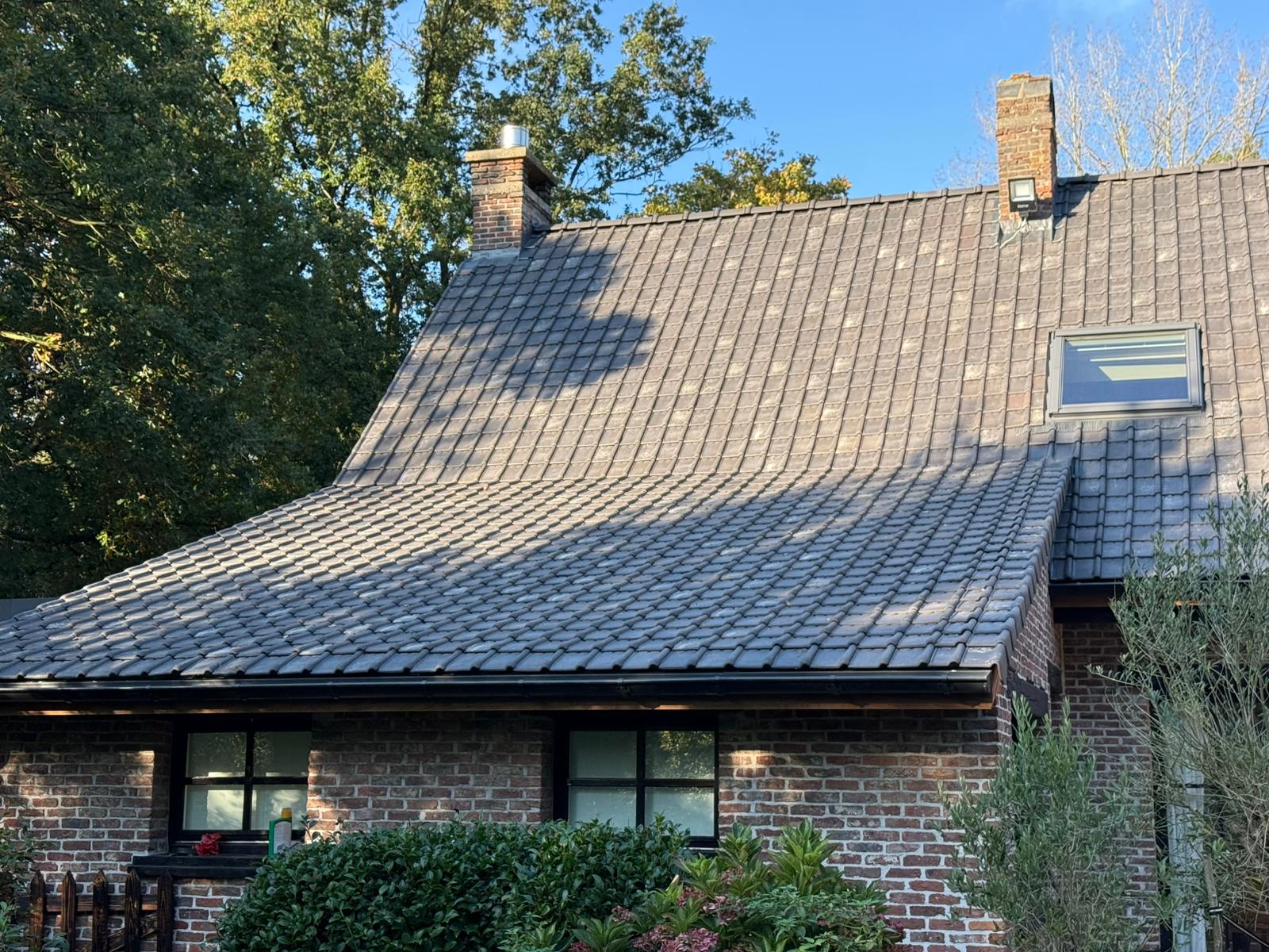 Project Image /images/projecten/PROJECT 1/7.jpg